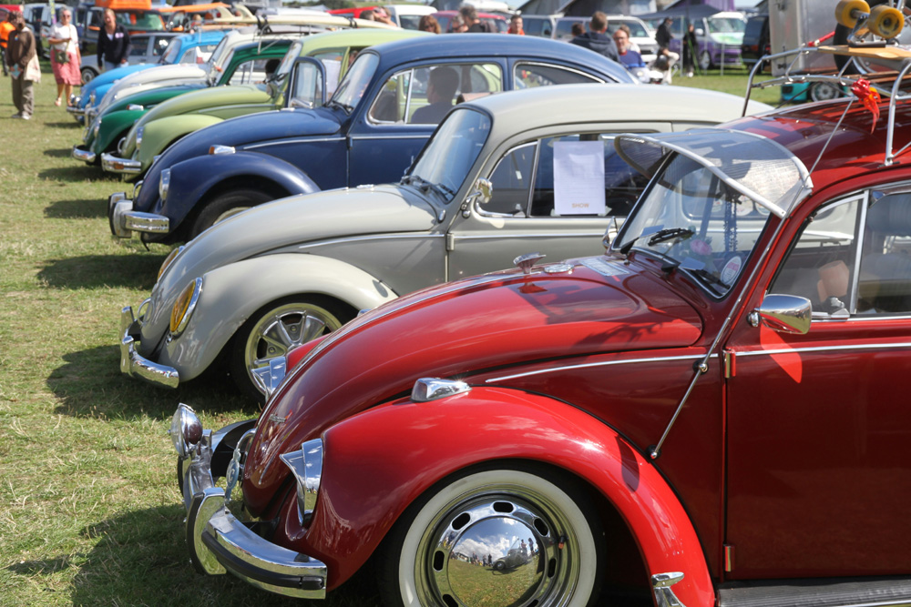 Lineup of classic Volkswagen Beetles at a VW show.