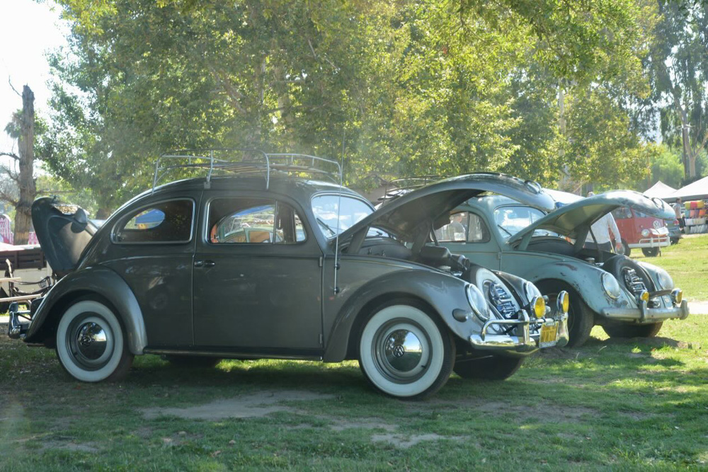 Classic Volkswagen Beetles with open hoods parked on the grass under trees at the El Prado VW Show & Shine