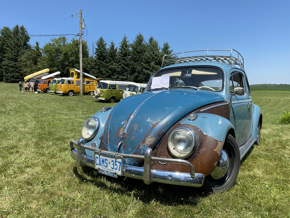 Blue Volkswagen Beetle with roof rack displayed near colorful VW camper vans