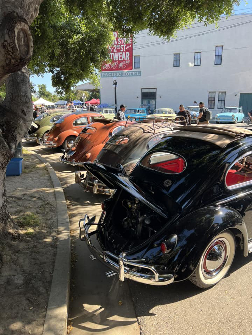 Air Cooled VW Beetles all lined up