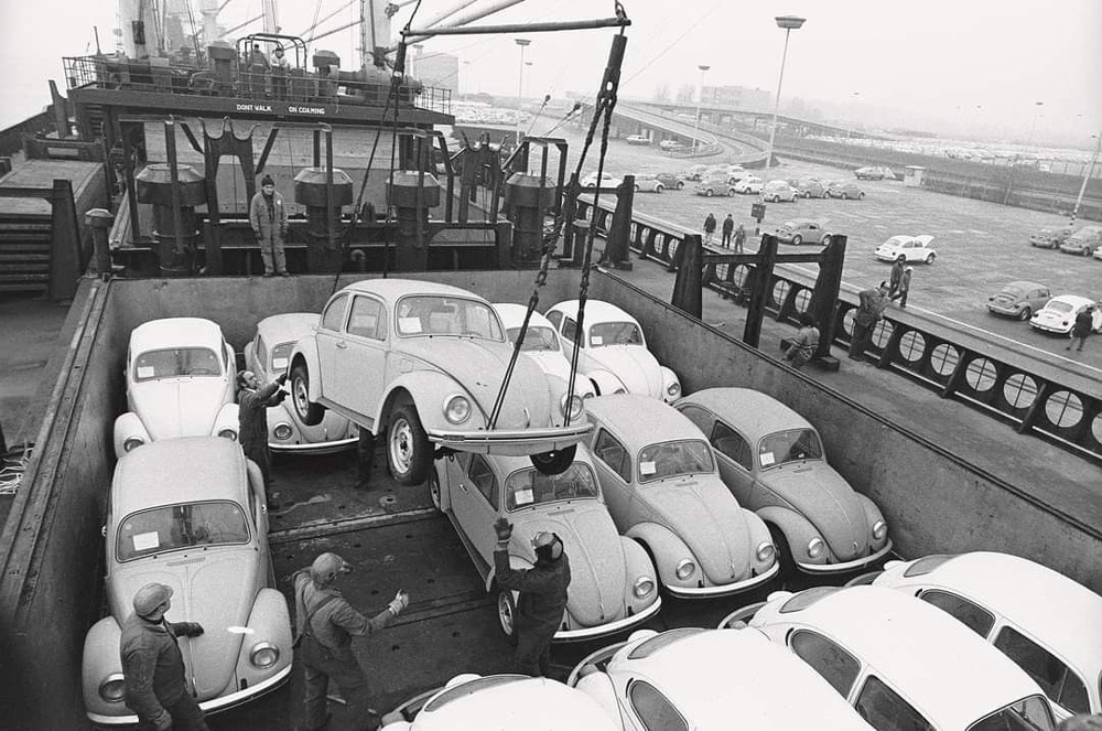 Workers are busy with loading Beetles on a cargo ship